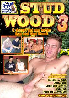 Stud Wood 3