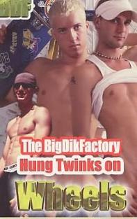 Hung Twinks On Wheels