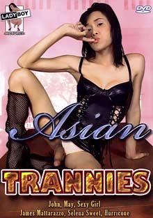 Asian Trannies