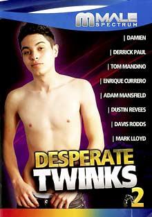 Desperate Twinks 2