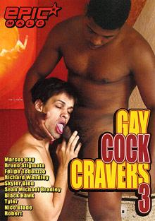 Gay Cock Cravers 3