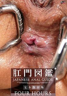Japanese Anal Guide