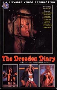 Dresden Diary 11