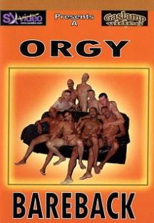 Orgy Bareback