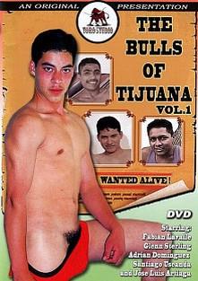 The Bulls Of Tijuana