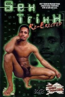 Sex Trixx Re-Erected