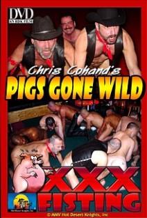 Pigs Gone Wild
