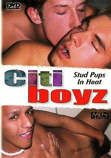 Citiboyz 16: Stud Pups In Heat