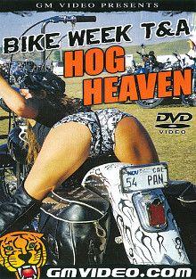 Bike Week T And A: Hog Heaven
