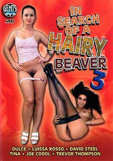 In Search Of A Hairy Beaver 3