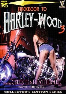 Backdoor To Harley-Wood 3