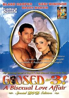 Goosed For 3: A Bisexual Love Affair