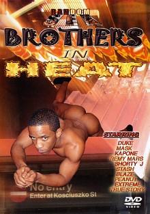 Brothers In Heat