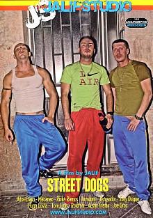 Street Dogs