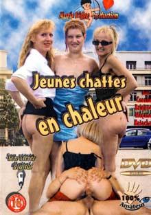 Jeunes Chattes En Chaleur