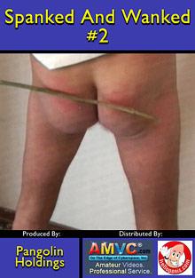 Spanked And Wanked 2