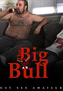 The Big Bull