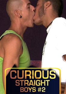 Curious Straight Boys 2