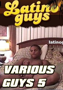 Various Guys 5