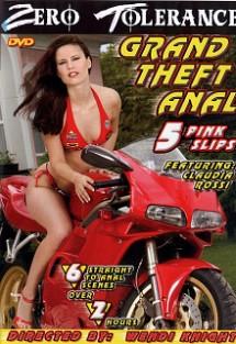 Grand Theft Anal 5 Pink Slips