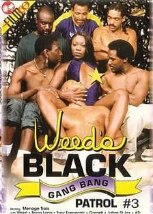 Weed's Gang Bang 3