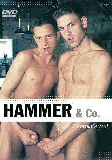 Hammer And Co.