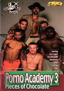 Porn Academy 3: Pieces Of Chocolate