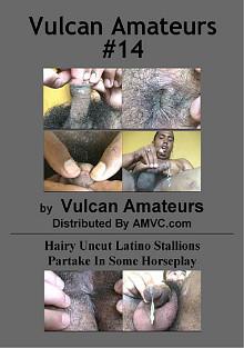 Vulcan Amateurs 14