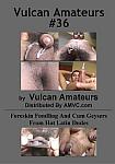 Vulcan Amateurs 36