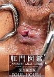 Japanese Anal Guide