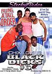 Chix Loving Black Dicks 6 featuring pornstar Hooks