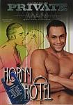 Horny Hotel featuring pornstar Allan Roiter