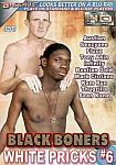 Black Boners White Pricks 6 featuring pornstar Fluxx