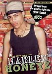 Harlem Honeyz featuring pornstar JR