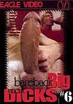 Bareback Big Uncut Dicks 6 from studio Eagle Video