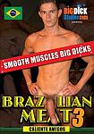 Brazilian Meat 3 featuring pornstar David