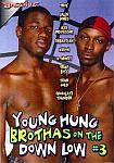 Young Hung Brothas On The Down Low 3 featuring pornstar Ass Professor