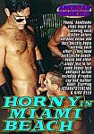 American Rookies: Horny In Miami Beach featuring pornstar Vince Siciliano