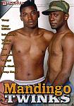 Mandingo Twinks featuring pornstar Mr. Sauki