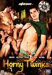 Horny Twinks from studio Staxus Collection