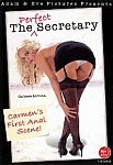The Perfect Secretary featuring pornstar Angela Stone