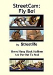 StreetCam: FlyBoi from studio Streetlife.com