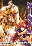 Ninja from studio Adult Source Media