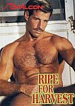 Ripe For Harvest featuring pornstar Ricky Price