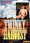 Twinky Harvest from studio Bad Boys - Stride News