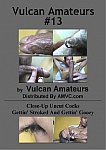 Vulcan Amateurs 13 featuring pornstar Frederico (amvc)