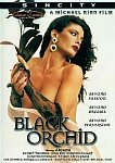 Black Orchid featuring pornstar Veronica Hart