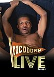 Coco Dorm Live 4 directed by Devin Wiley